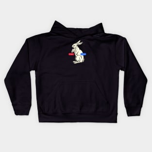 Follow/Unfollow the White Rabbit Kids Hoodie